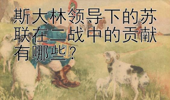 斯大林领导下的苏联在二战中的贡献有哪些？