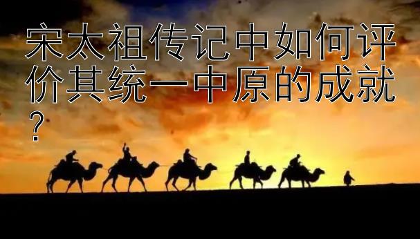 宋太祖传记中如何评价其统一中原的成就？