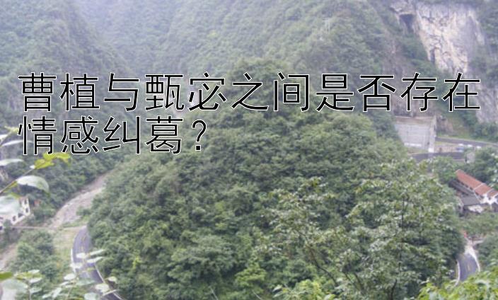 曹植与甄宓之间是否存在情感纠葛？