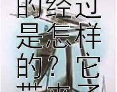 鸦片战争是如何起因的？它的经过是怎样的？它带来了哪些影响？