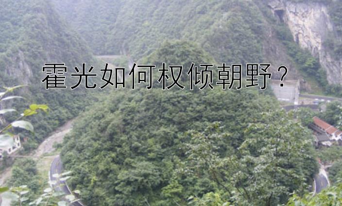 霍光如何权倾朝野？