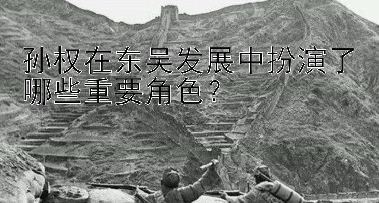 孙权在东吴发展中扮演了哪些重要角色？