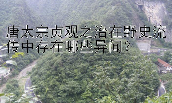 唐太宗贞观之治在野史流传中存在哪些异闻？