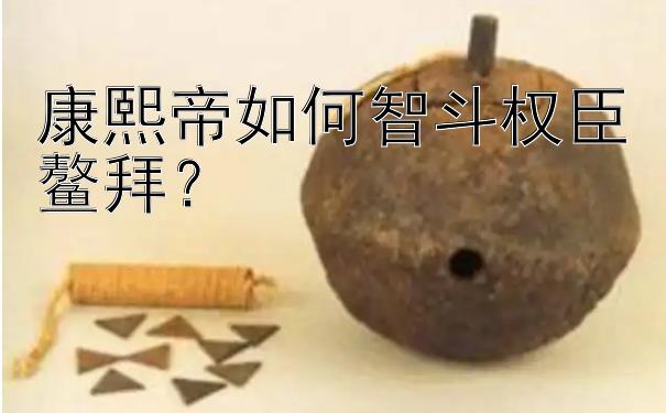 康熙帝如何智斗权臣鳌拜？