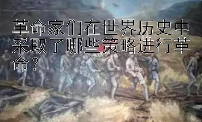 革命家们在世界历史中采取了哪些策略进行革命？