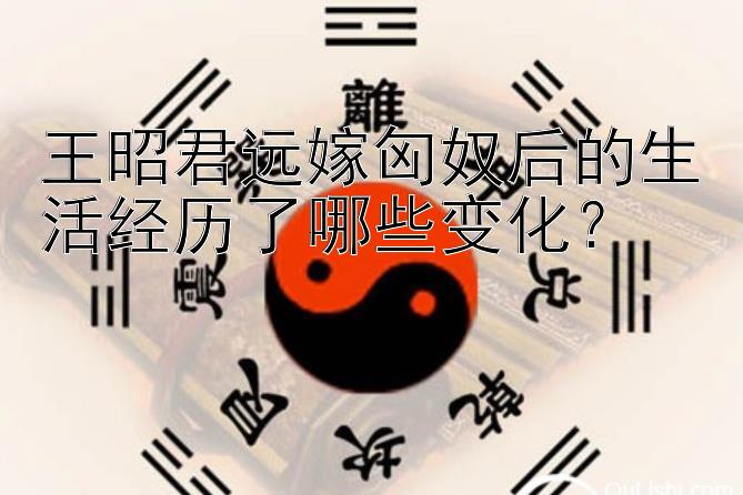 王昭君远嫁匈奴后的生活经历了哪些变化？