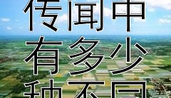 梁山伯与祝英台在古代野史传闻中有多少种不同版本的故事？