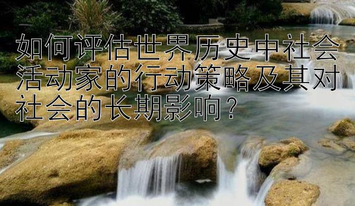 如何评估世界历史中社会活动家的行动策略及其对社会的长期影响？