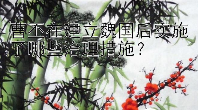 曹丕在建立魏国后实施了哪些治理措施？