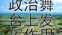 文人如何在中国历史政治舞台上发挥作用？