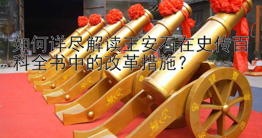 如何详尽解读王安石在史传百科全书中的改革措施？