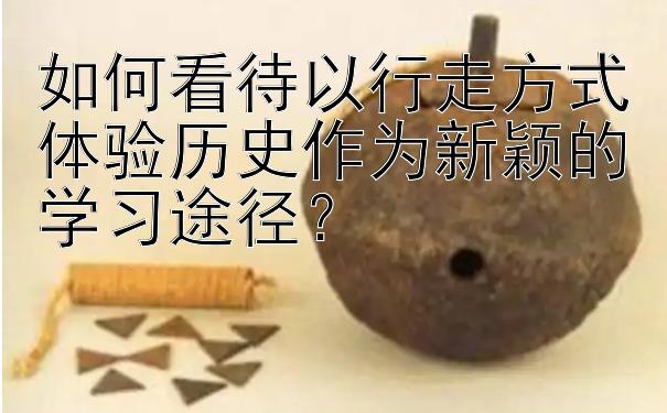 如何看待以行走方式体验历史作为新颖的学习途径？