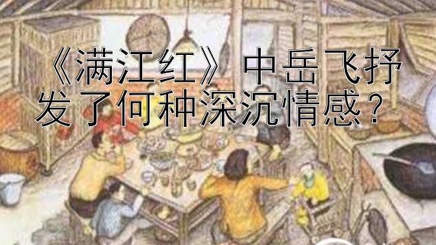 《满江红》中岳飞抒发了何种深沉情感？