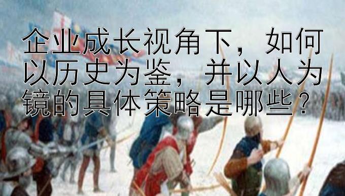 企业成长视角下，如何以历史为鉴，并以人为镜的具体策略是哪些？