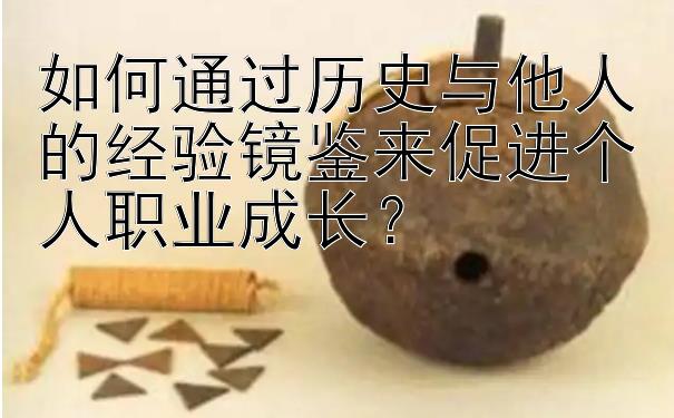 如何通过历史与他人的经验镜鉴来促进个人职业成长？