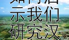 巫蛊之祸的书写方法如何启示我们研究汉代经济状况？