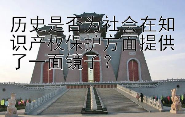 历史是否为社会在知识产权保护方面提供了一面镜子？