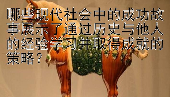 哪些现代社会中的成功故事展示了通过历史与他人的经验学习并取得成就的策略？