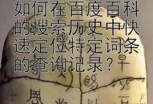 如何在百度百科的搜索历史中快速定位特定词条的查询记录？