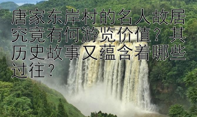 唐家东岸村的名人故居究竟有何游览价值？其历史故事又蕴含着哪些过往？