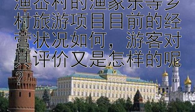 渔岙村的渔家乐等乡村旅游项目目前的经营状况如何，游客对其评价又是怎样的呢？