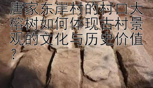 唐家东岸村的村口大榕树如何体现古村景观的文化与历史价值？